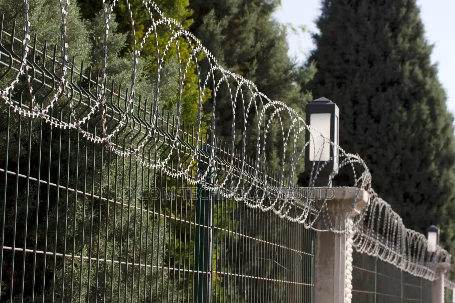 Coiled Razor Wire