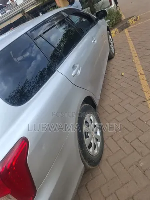 Toyota Corolla Fielder 2007 Silver