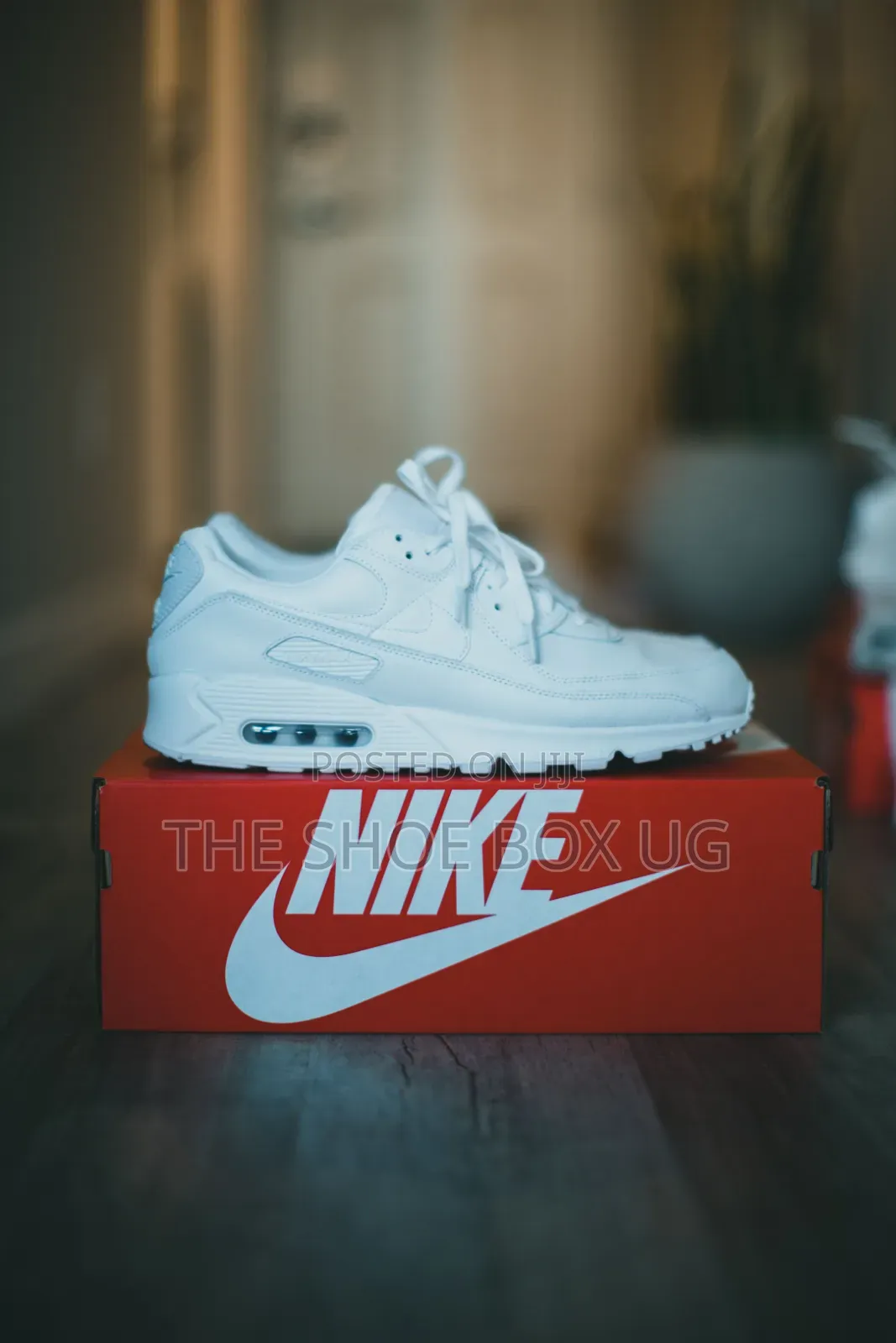 Nike Air Max