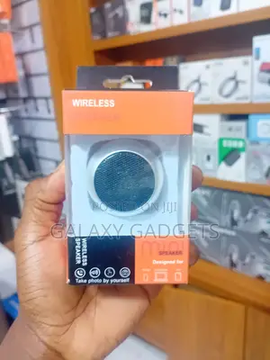 Wireless Mini Speaker