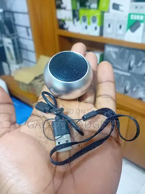 Wireless Mini Speaker