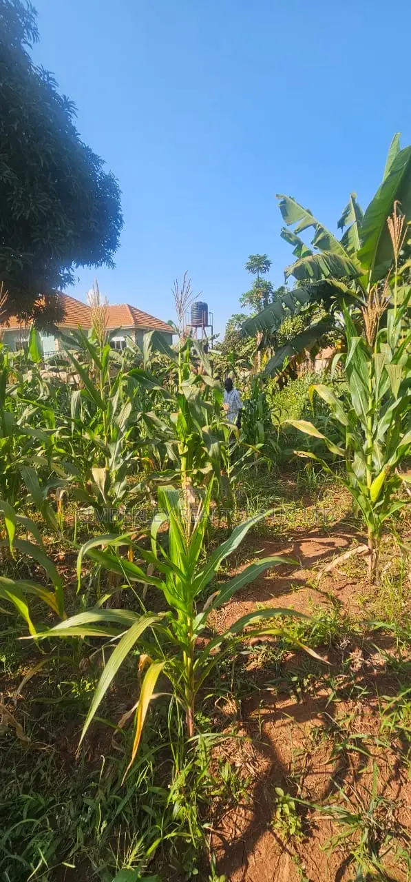 Quick Sale Plot for Sale – Seguku Katale