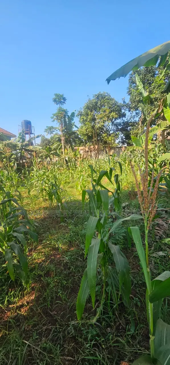 Quick Sale Plot for Sale – Seguku Katale