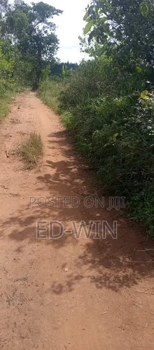200 Acres Kakinzi