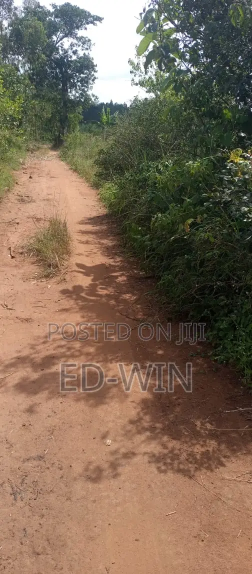 200 Acres Kakinzi