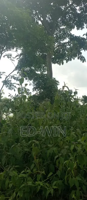 200 Acres Kakinzi