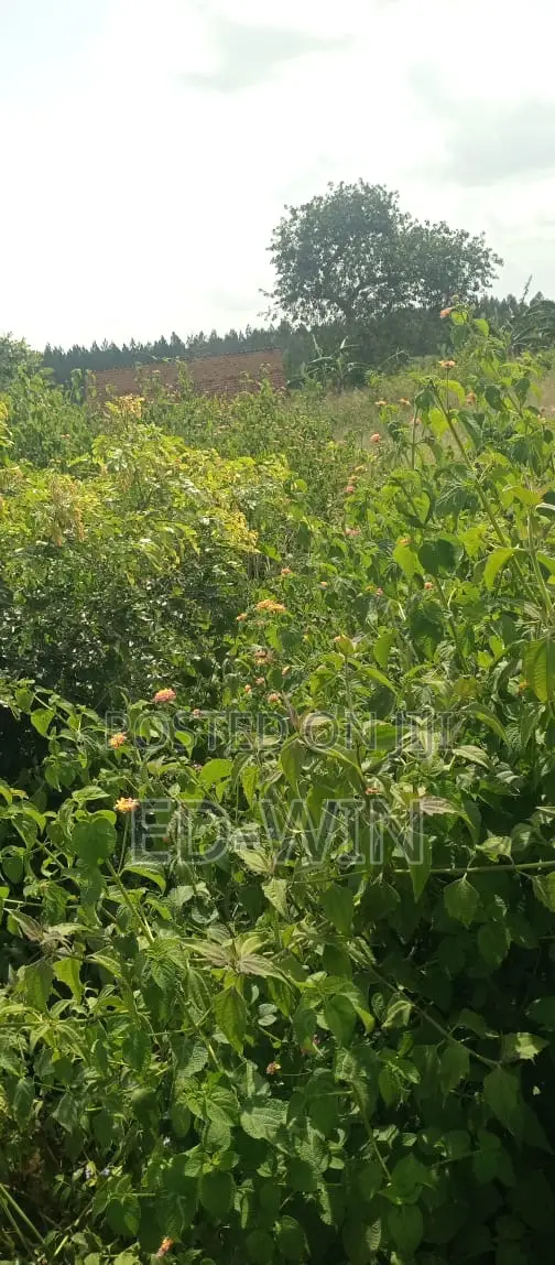 200 Acres Kakinzi