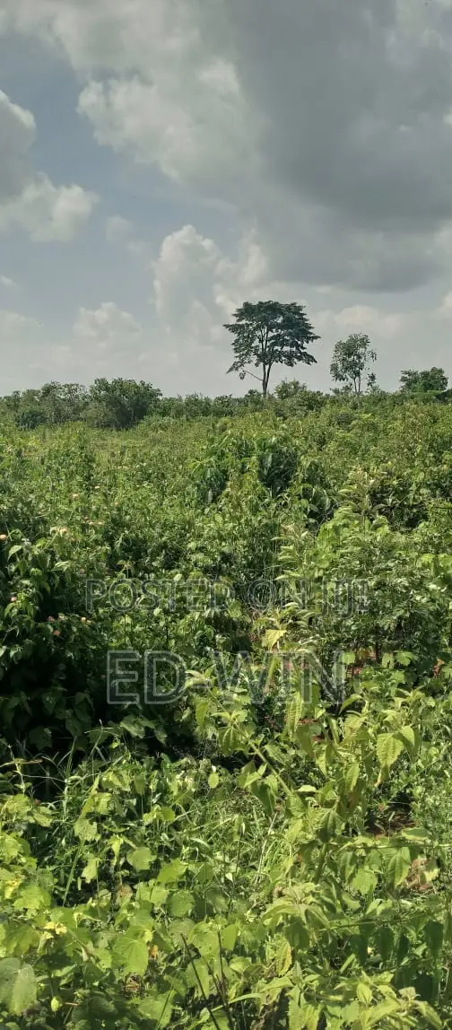 200 Acres Kakinzi