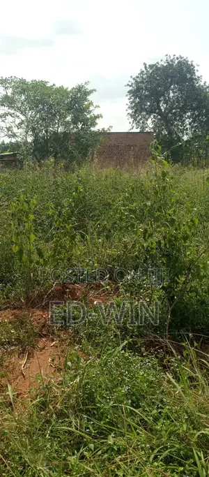 200 Acres Kakinzi