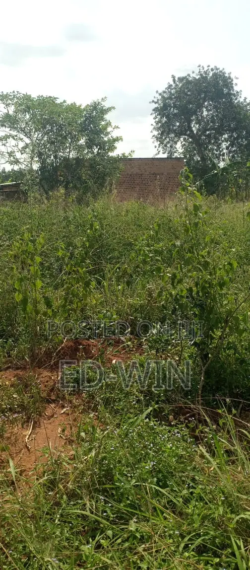 200 Acres Kakinzi