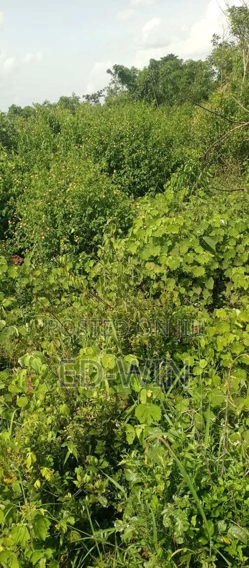 200 Acres Kakinzi