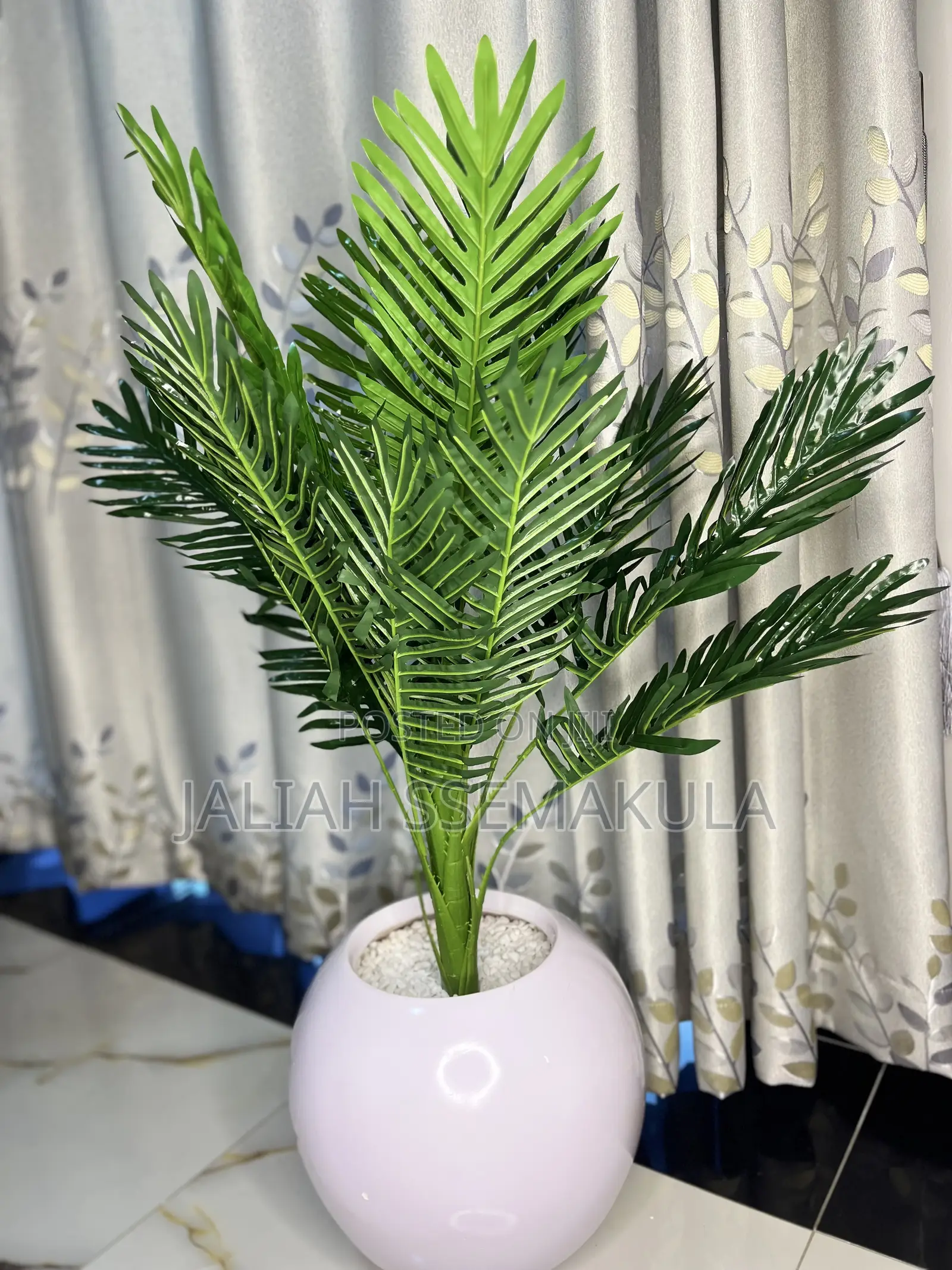 Jali Collections