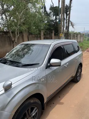 Subaru Forester 2009 Silver