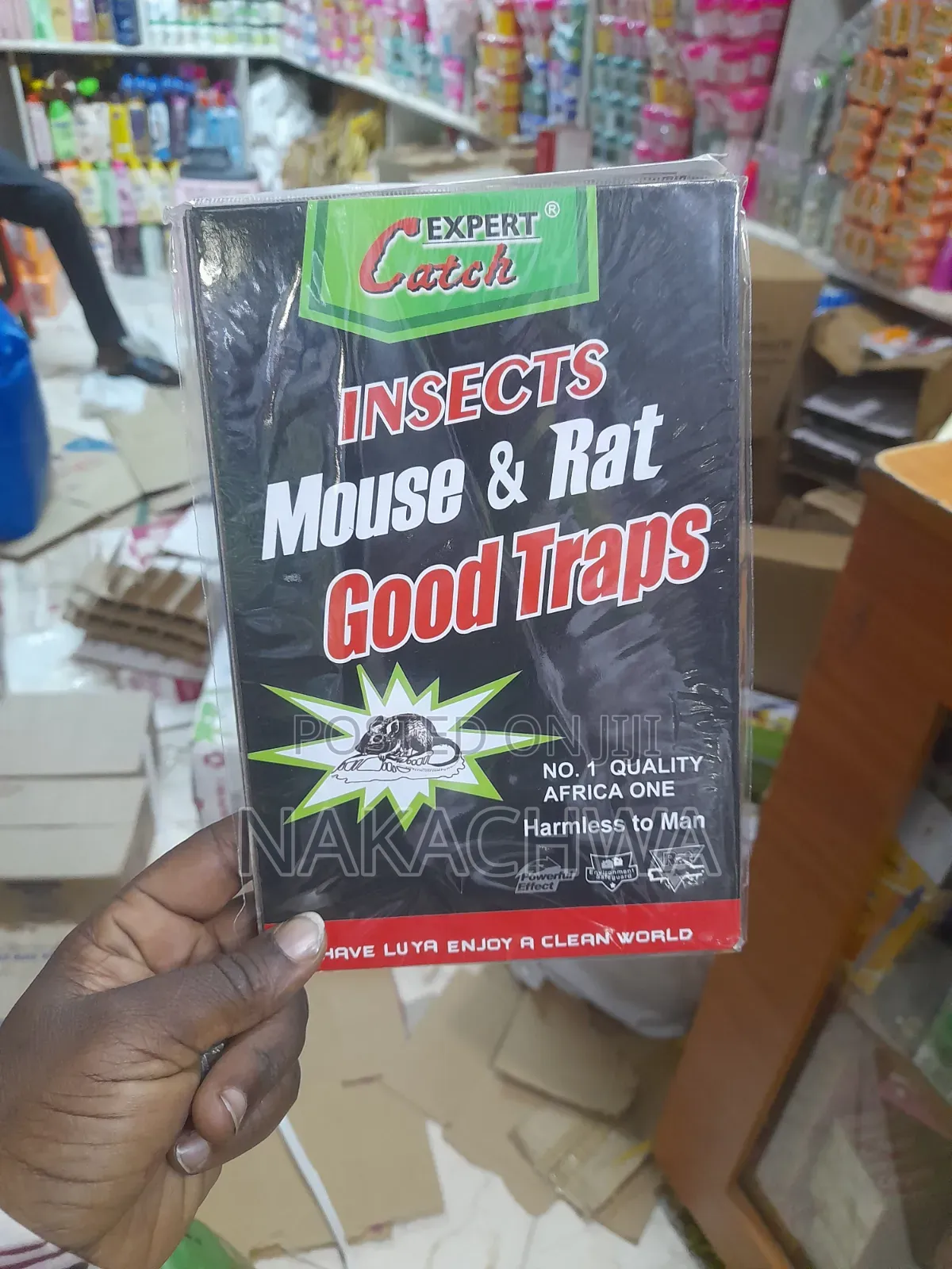 1 Drozen of Expert Catch of Insect Mouse and Rats