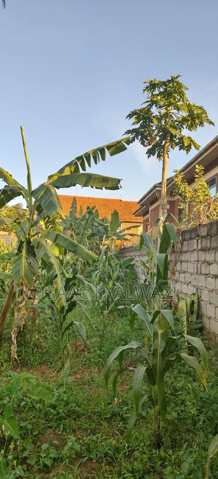 Land for Sale Ntinda