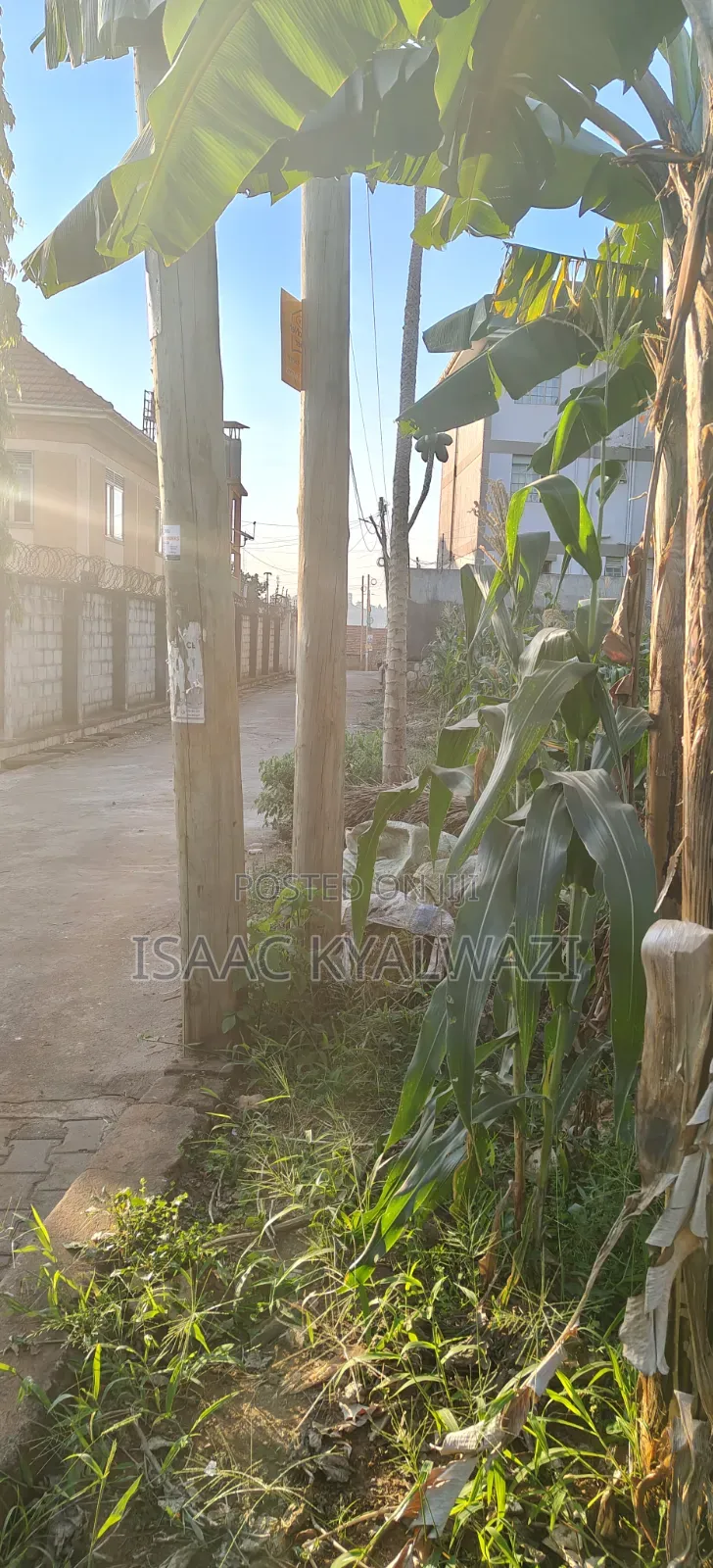 Land for Sale Ntinda