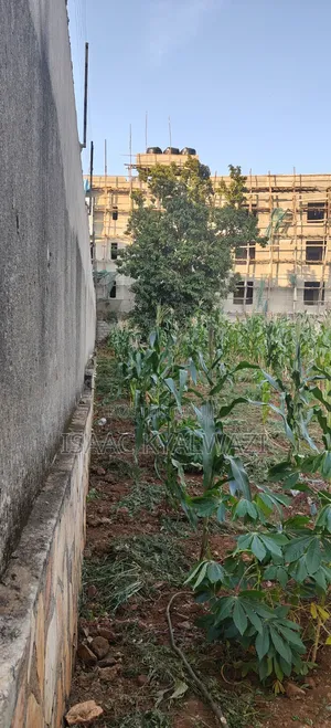 Land for Sale Ntinda