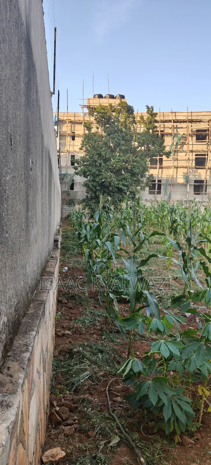 Land for Sale Ntinda