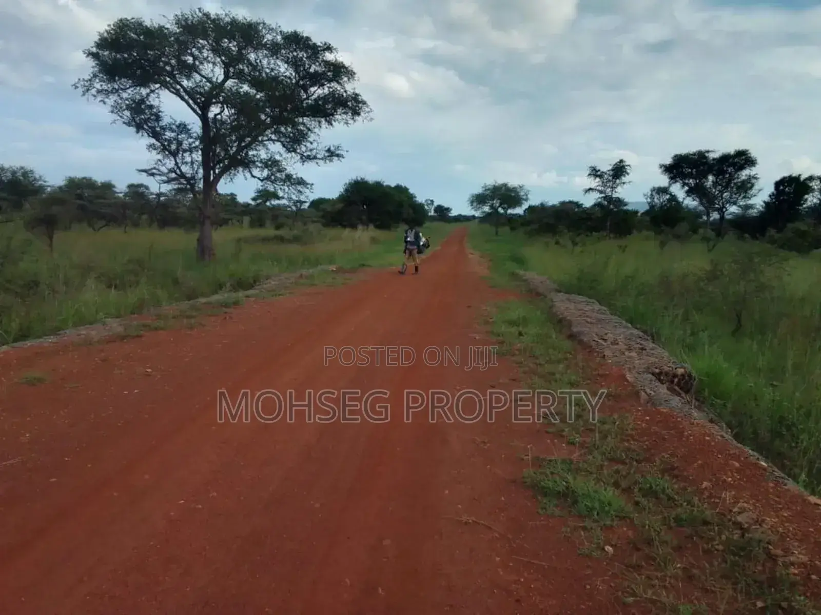 7707 Acres of Land for Sale in North Eastern Uganda