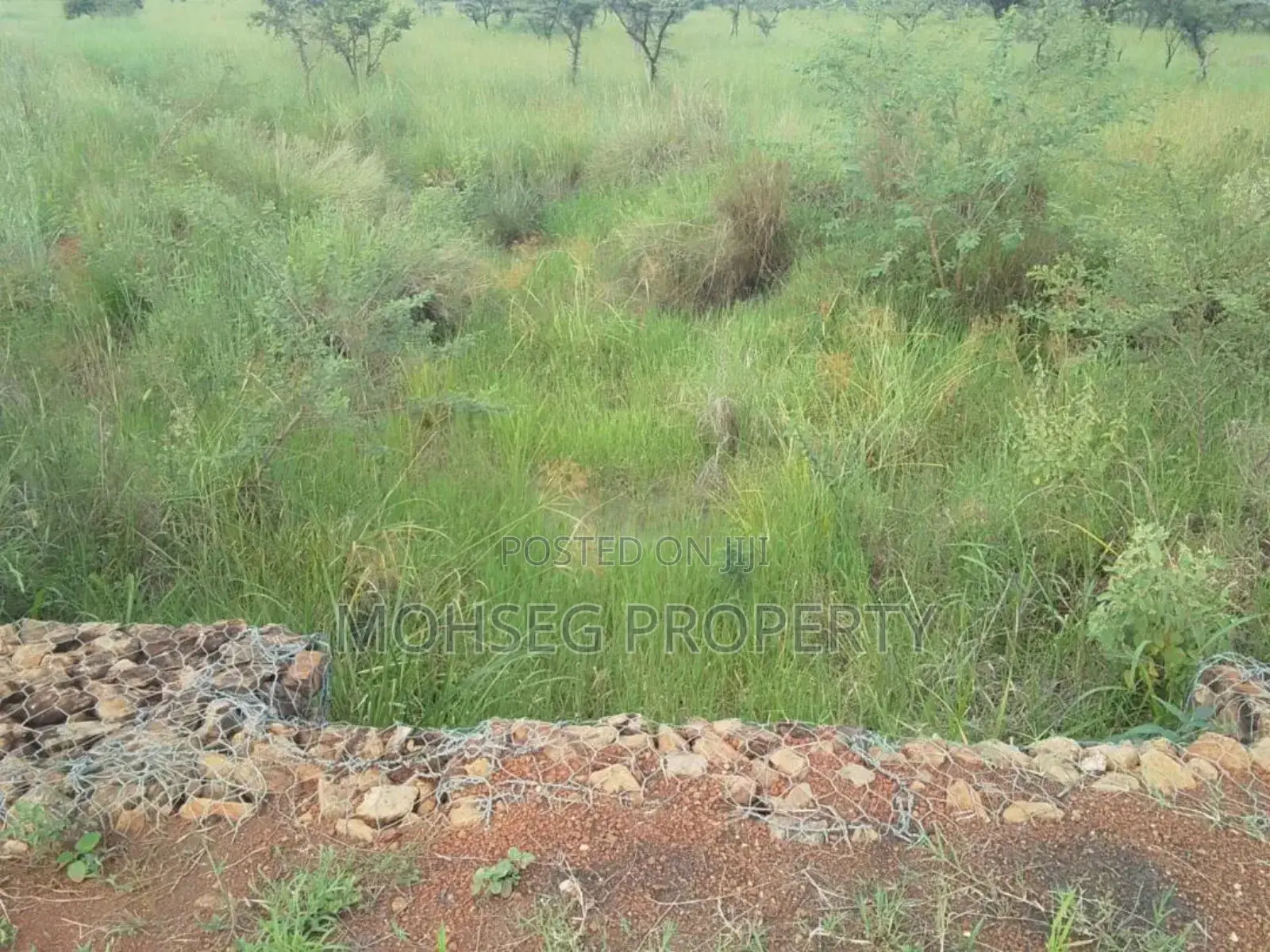 7707 Acres of Land for Sale in North Eastern Uganda