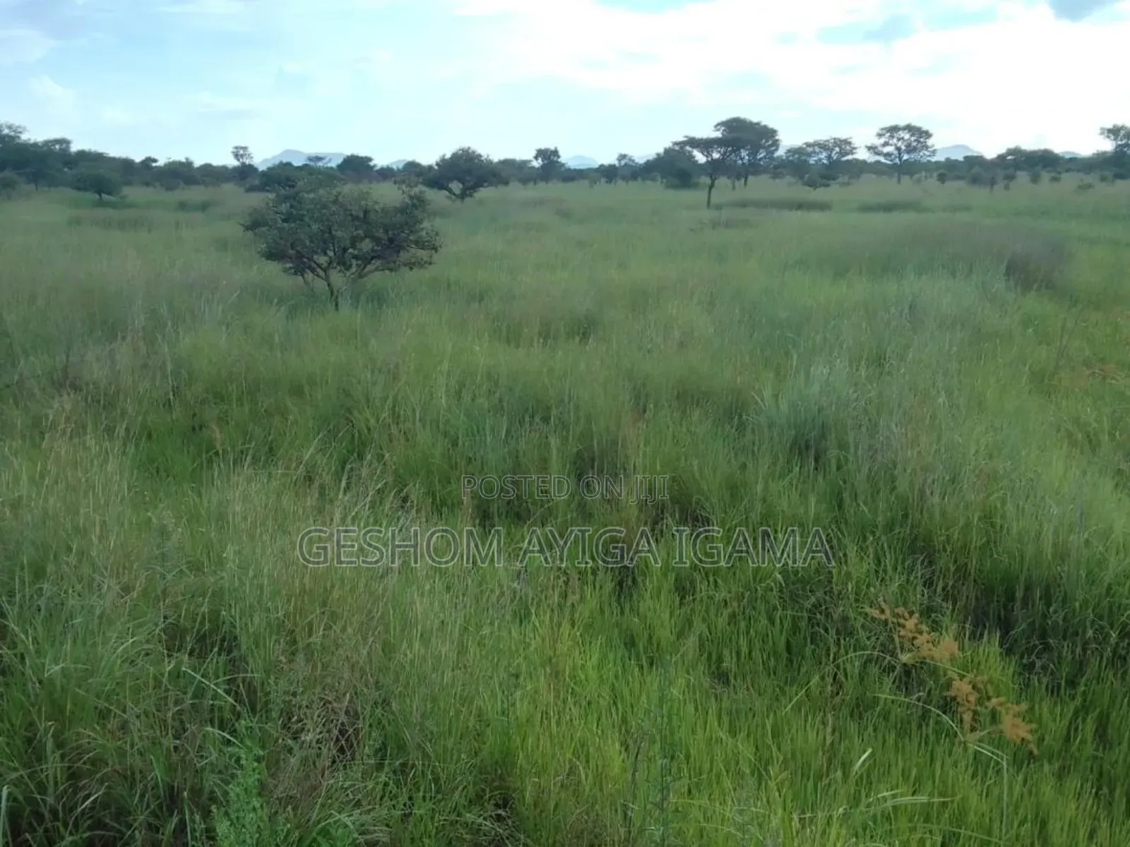 7707 Acres of Land for Sale in North Eastern Uganda