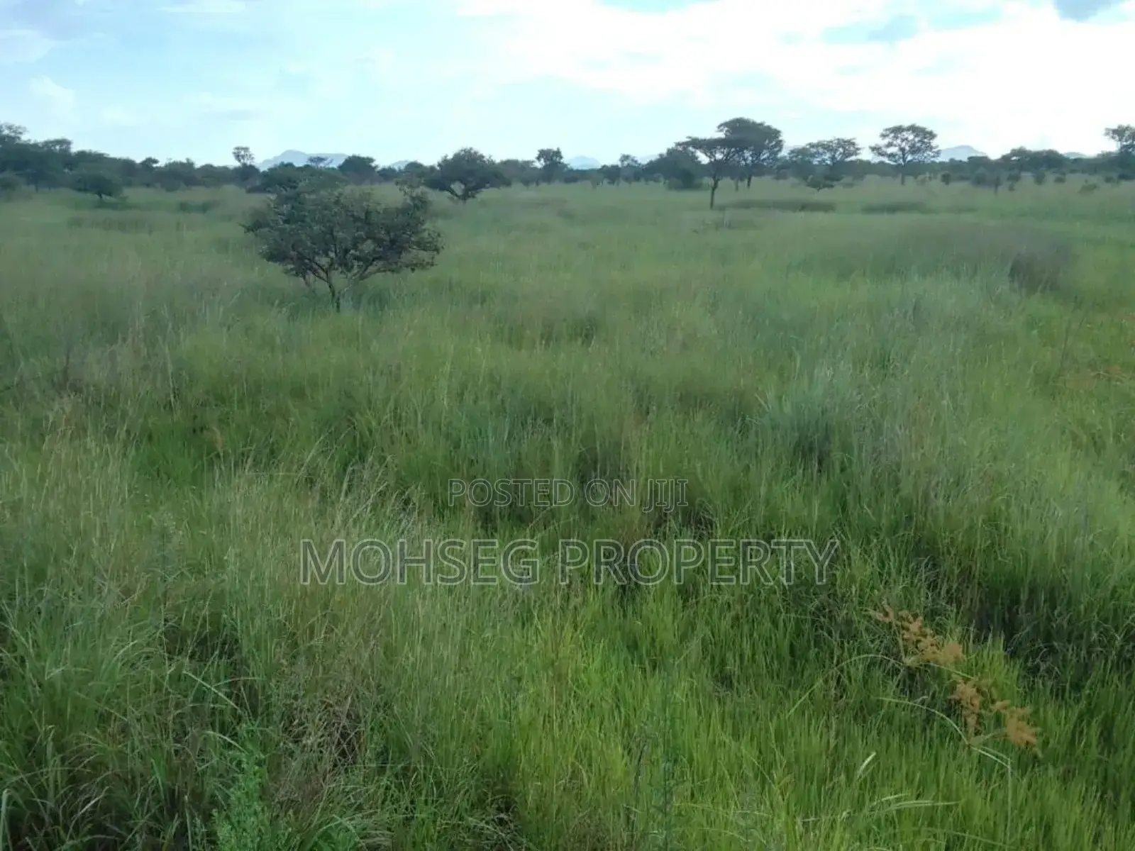 7707 Acres of Land for Sale in North Eastern Uganda