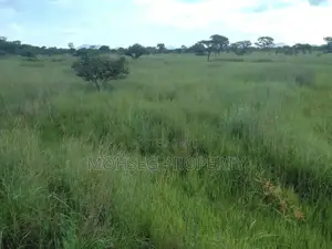 7707 Acres of Land for Sale in North Eastern Uganda