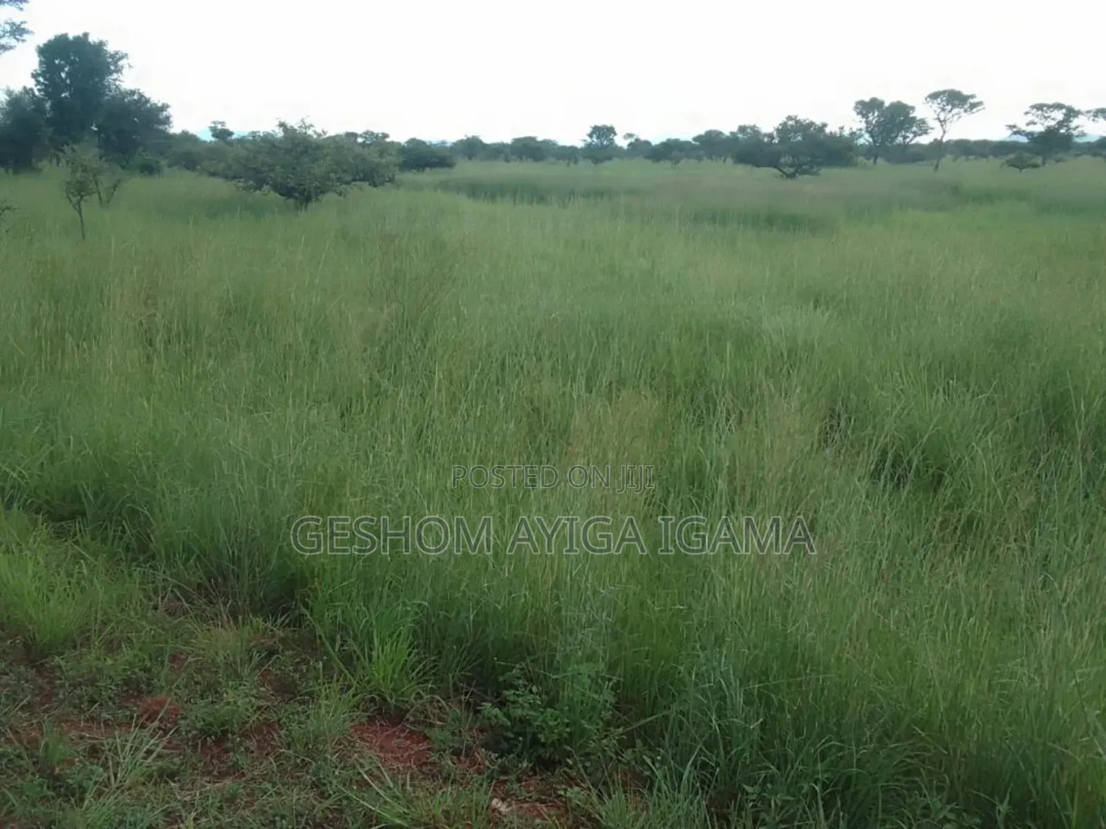 7707 Acres of Land for Sale in North Eastern Uganda