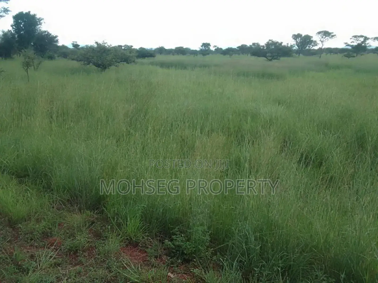7707 Acres of Land for Sale in North Eastern Uganda