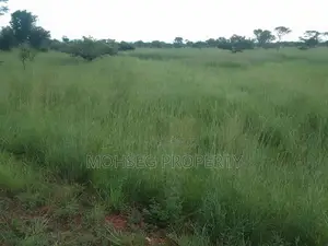 7707 Acres of Land for Sale in North Eastern Uganda