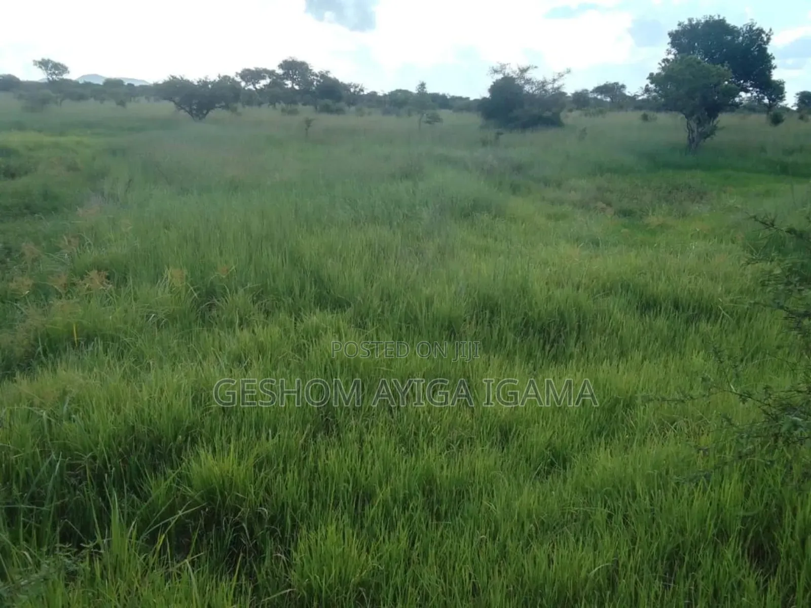 7707 Acres of Land for Sale in North Eastern Uganda