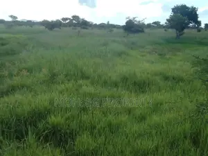 7707 Acres of Land for Sale in North Eastern Uganda