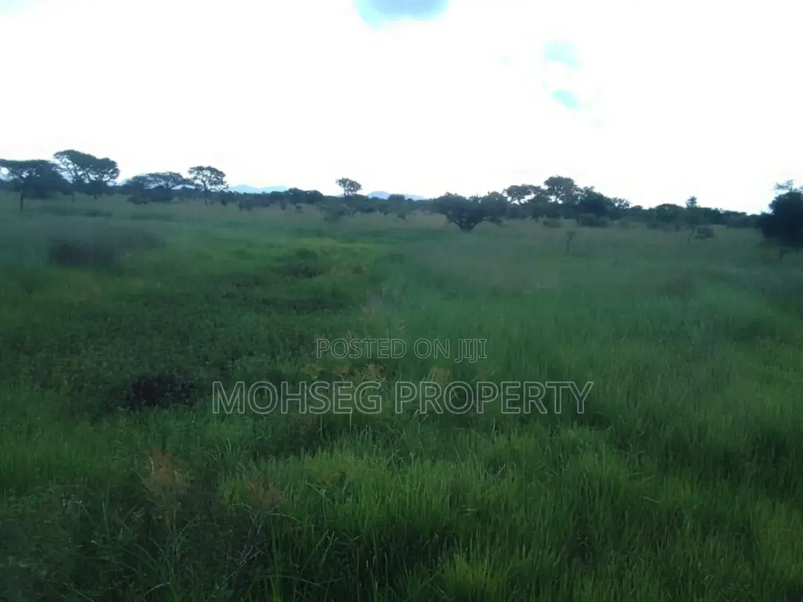 7707 Acres of Land for Sale in North Eastern Uganda