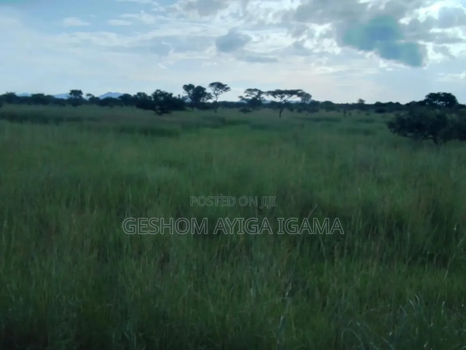 7707 Acres of Land for Sale in North Eastern Uganda