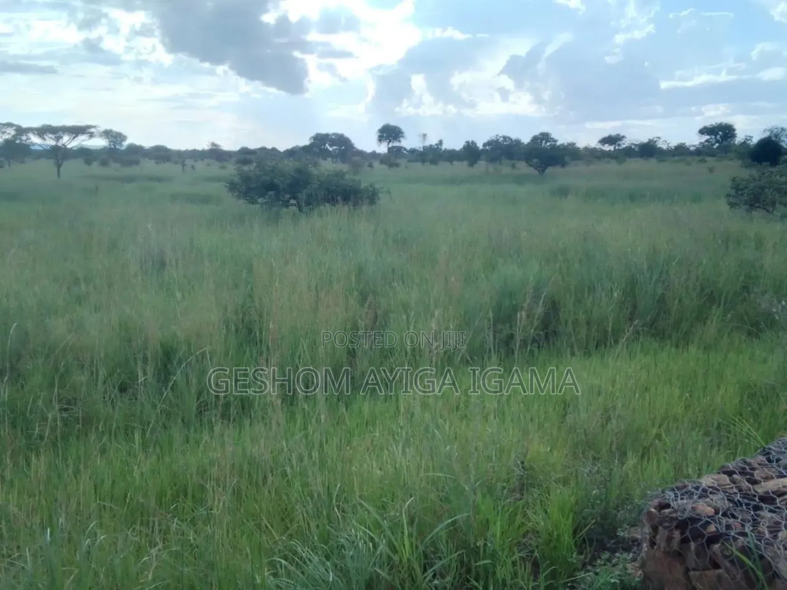 7707 Acres of Land for Sale in North Eastern Uganda
