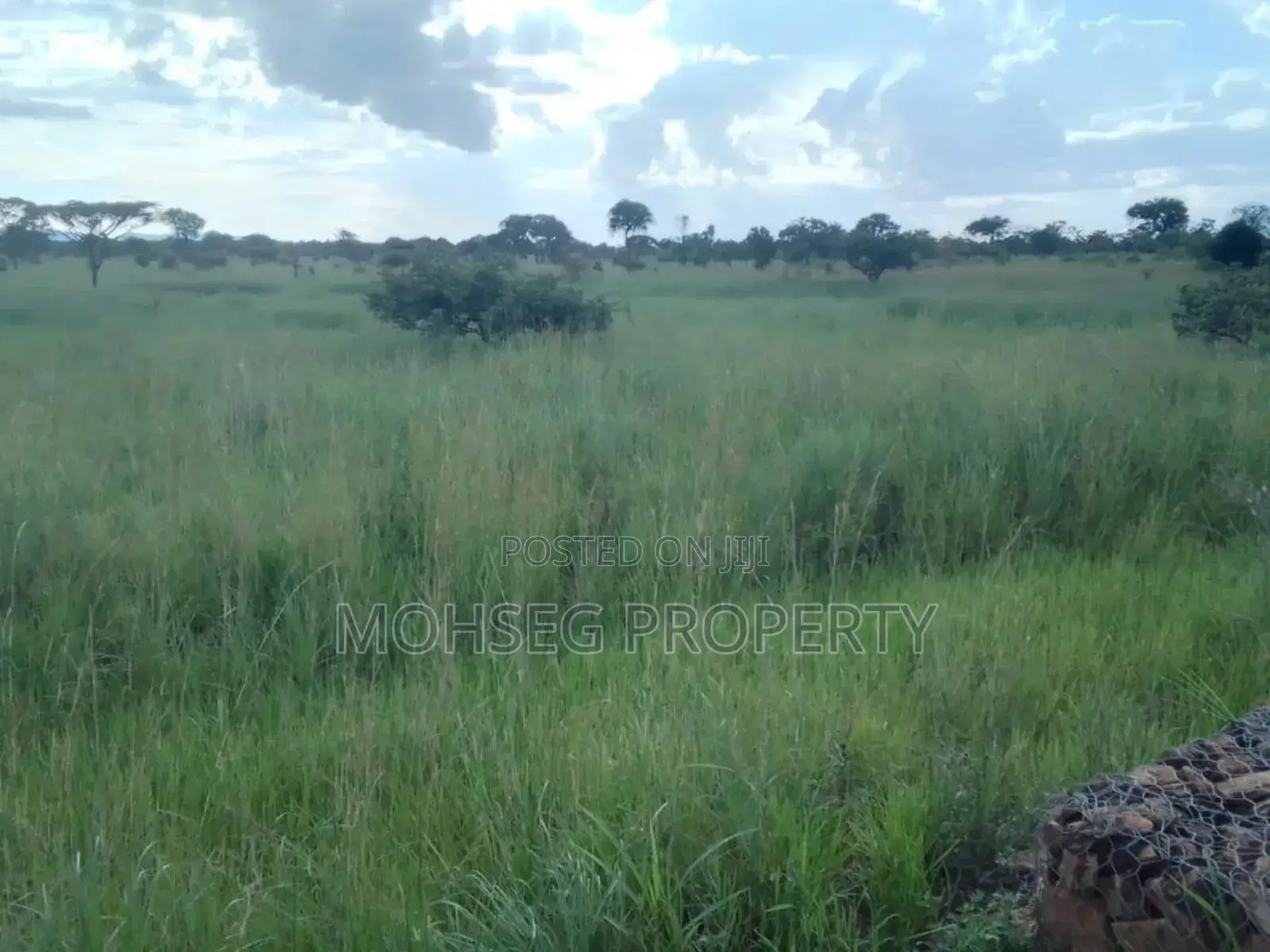 7707 Acres of Land for Sale in North Eastern Uganda