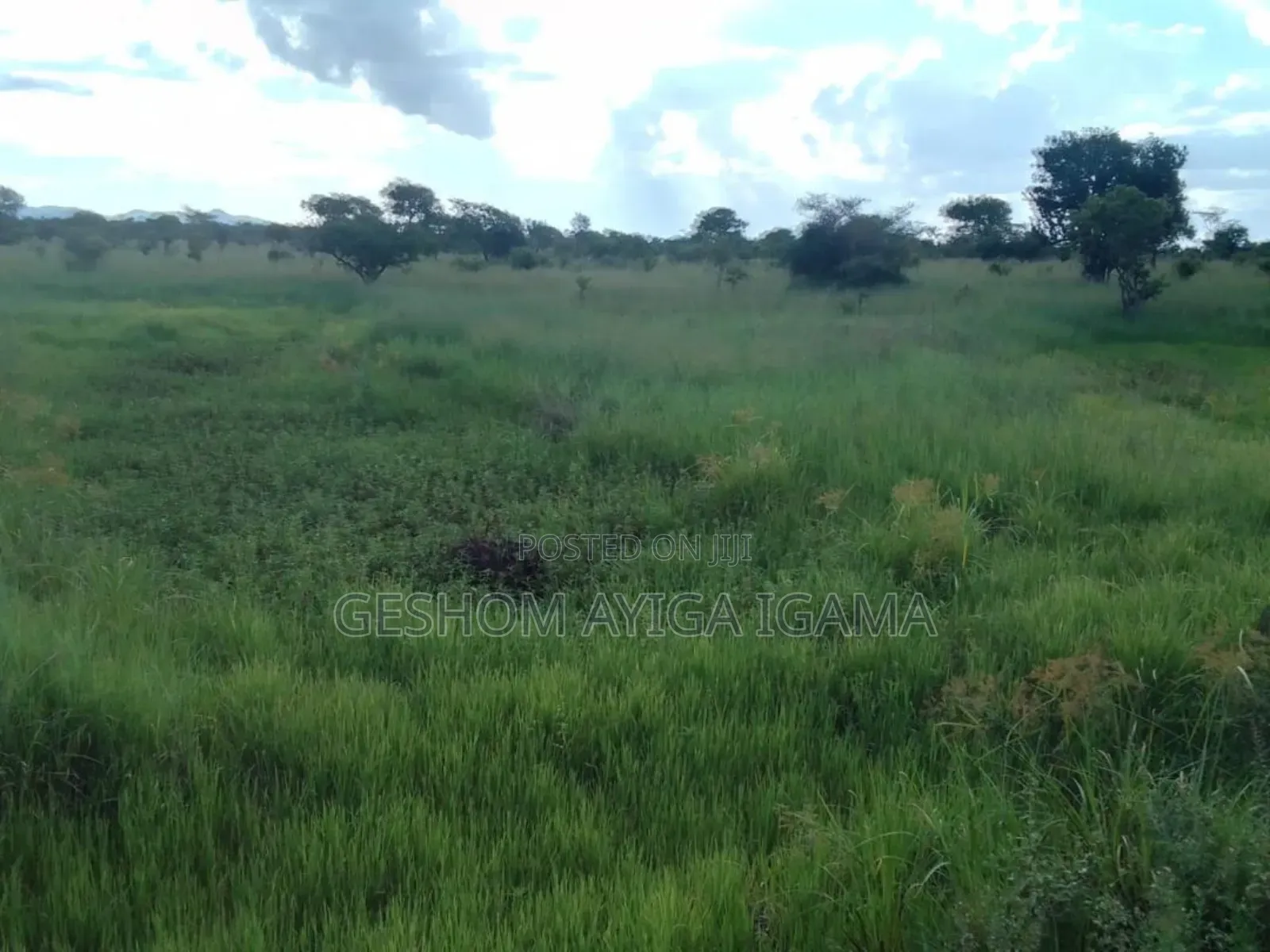 7707 Acres of Land for Sale in North Eastern Uganda