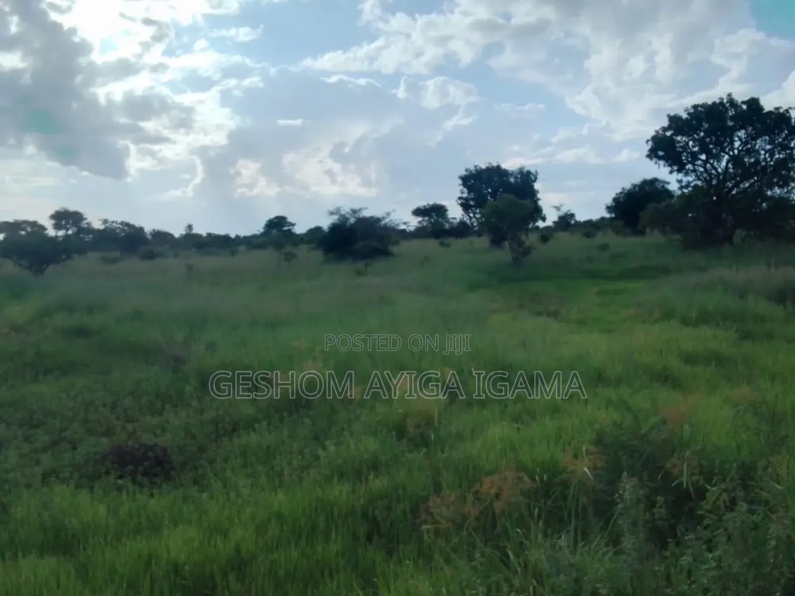 7707 Acres of Land for Sale in North Eastern Uganda