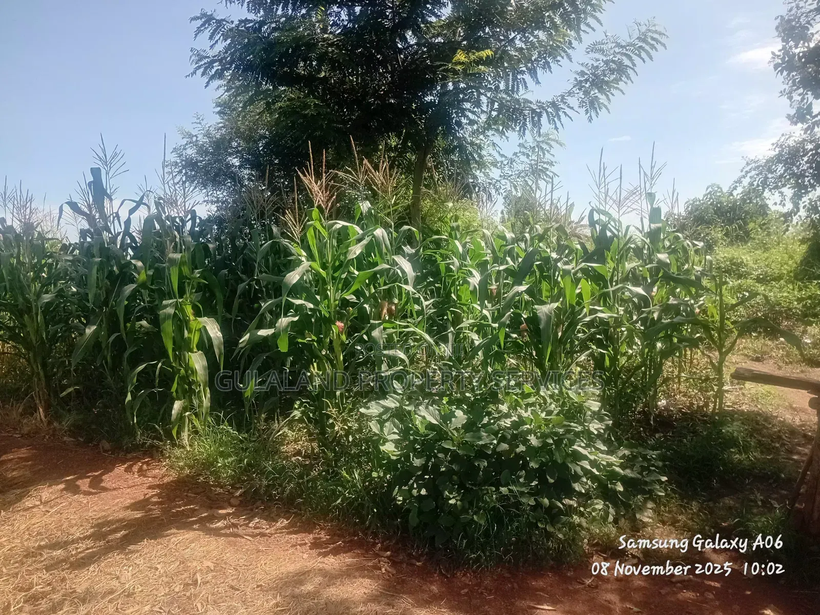 10acres Commercial Land For Sale