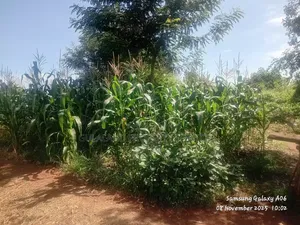 10acres Commercial Land For Sale
