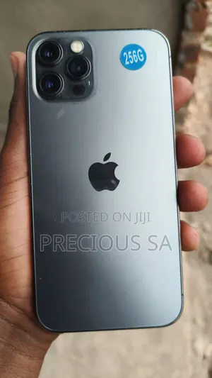 Apple iPhone 12 Pro Max 256 GB Silver