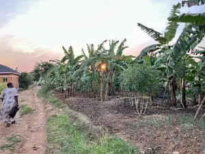 Kira Nsasa 12.8 Decimals Plot 85m (Negotiable)