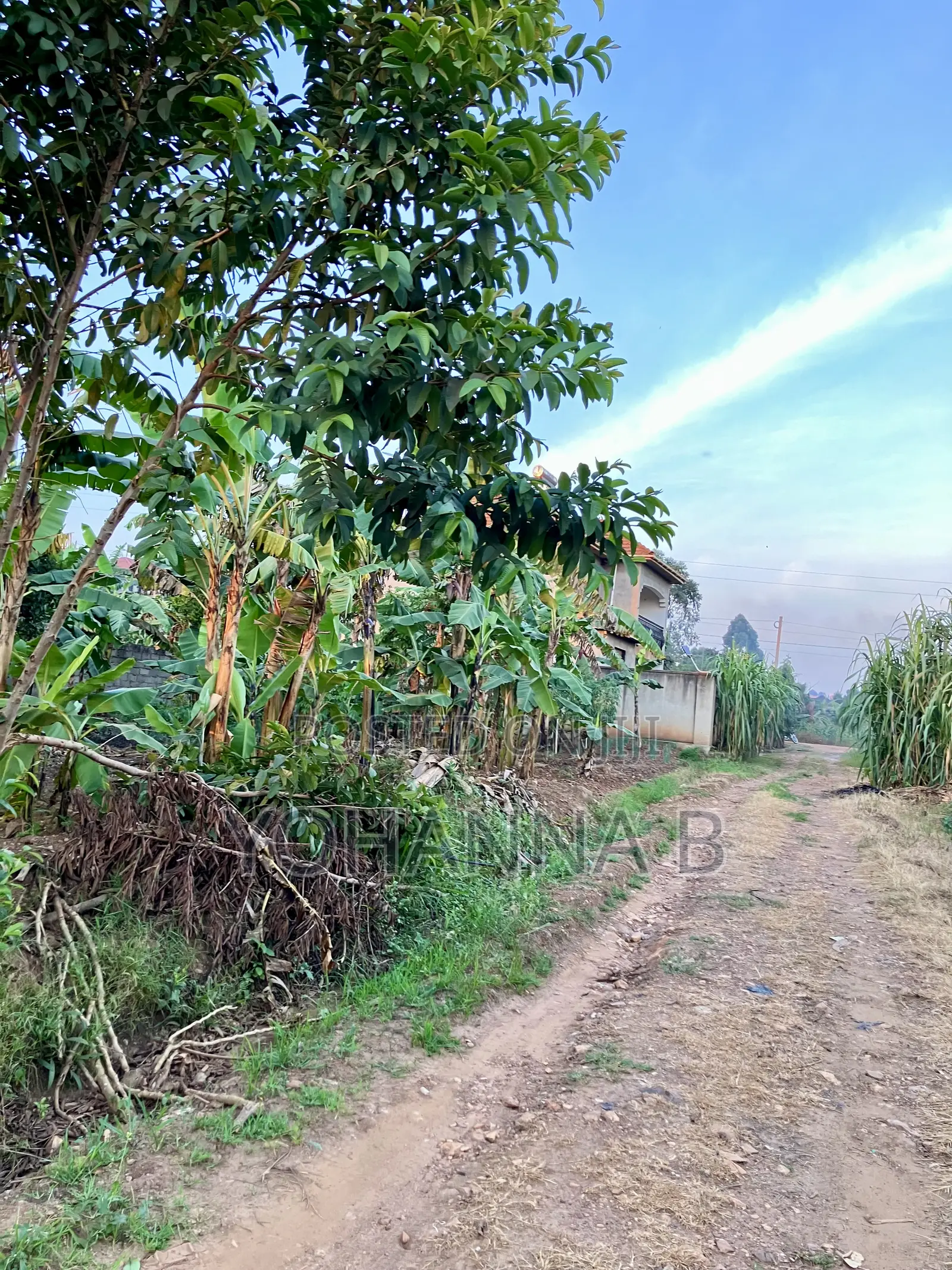 Kira Nsasa 12.8 Decimals Plot 85m (Negotiable)
