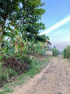 Kira Nsasa 12.8 Decimals Plot 85m (Negotiable)