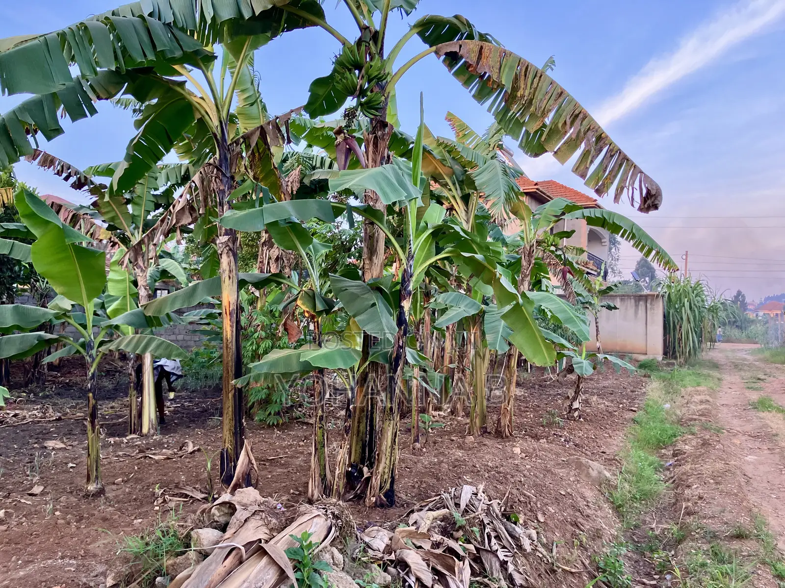 Kira Nsasa 12.8 Decimals Plot 85m (Negotiable)