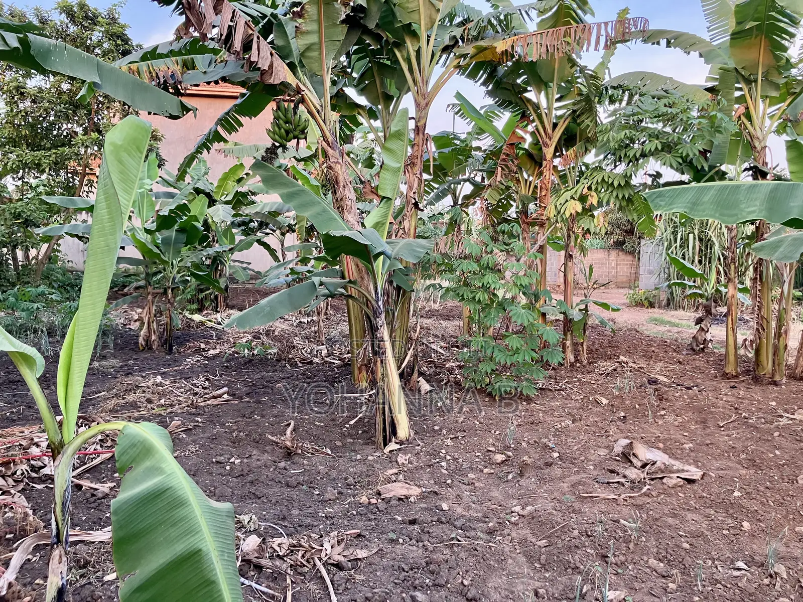 Kira Nsasa 12.8 Decimals Plot 85m (Negotiable)