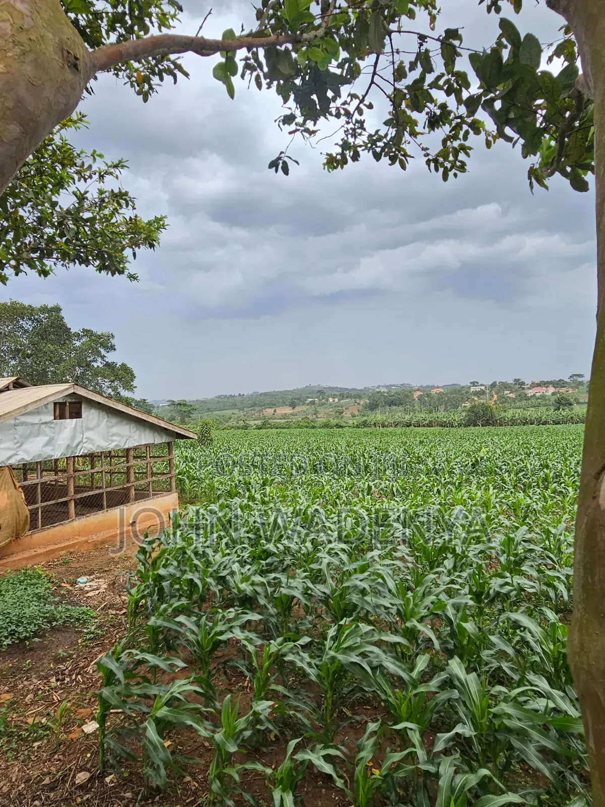 5.14 Acres for Sale Kira/ Kitukutwe/ Nyanja, Private Mailo Land Title.