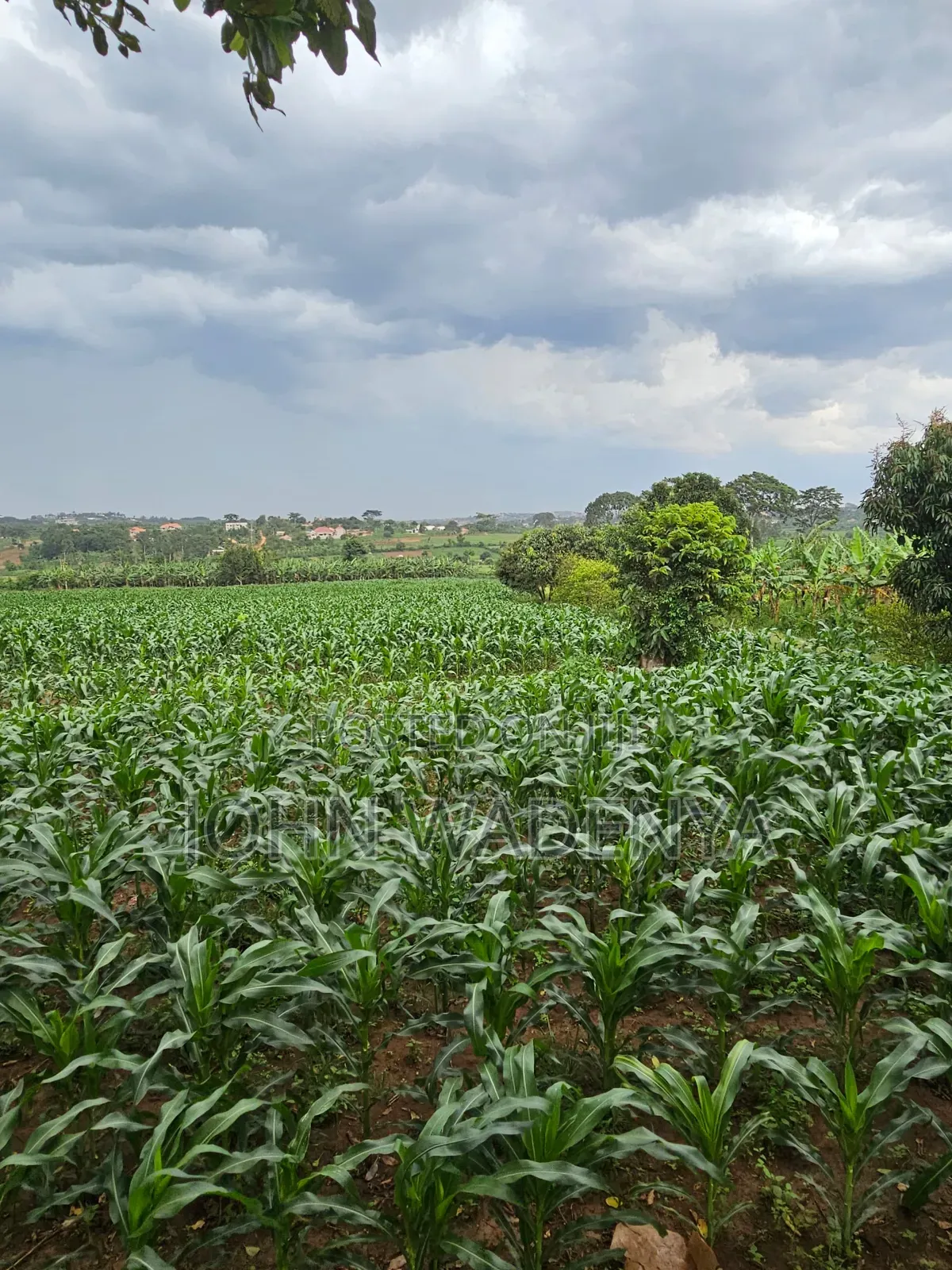 5.14 Acres for Sale Kira/ Kitukutwe/ Nyanja, Private Mailo Land Title.