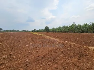 5.14 Acres for Sale Kira/ Kitukutwe/ Nyanja, Private Mailo Land Title.