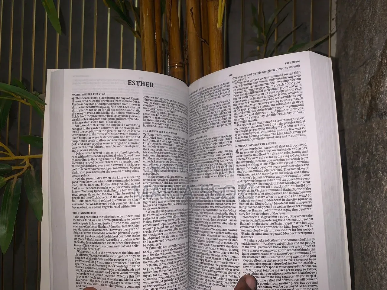 Holy Bible for Kids( Children)